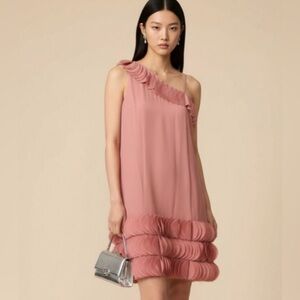 NWT Banana Republic BR Monogram Pink One Shoulder Scalloped Ruffle Chiffon Sz 4